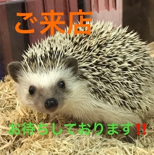 むぅくん.jpg