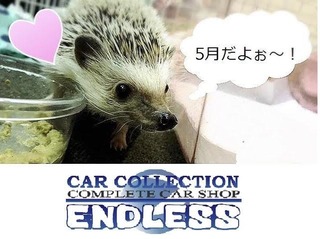 むうくん.jpg