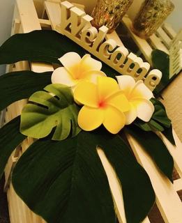 夏2.jpg
