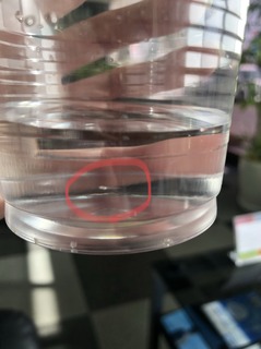 image1 (1).jpeg